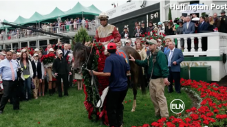 Kentucky Derby Winner Orb