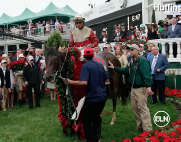 Kentucky Derby Winner Orb