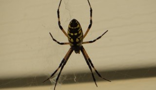 IMG_1640