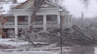 Photo by Elon Local News.