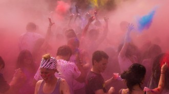 HOLI-0013