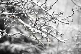 snow