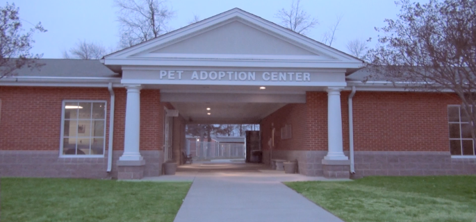 Burlington Animal Shelter